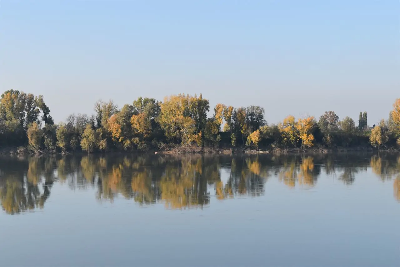 The Po in autumn, towards Ferrara: still water and a low bank of poplars